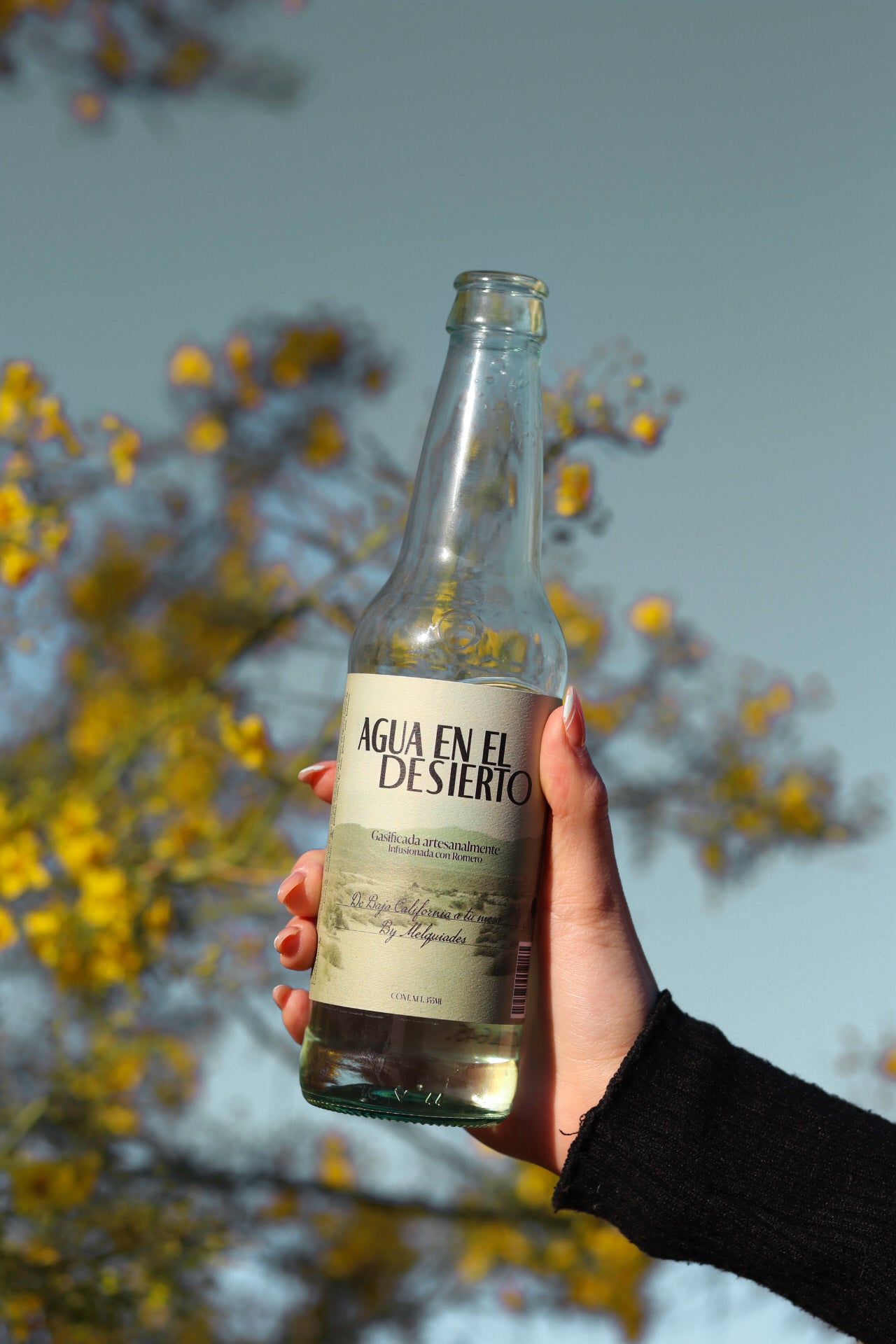 Gasificada artesanal con infusión de romero 355ml.